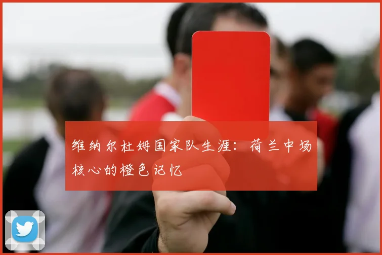维纳尔杜姆国家队生涯：荷兰中场核心的橙色记忆