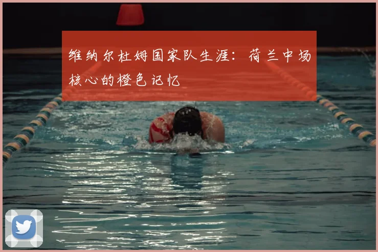 维纳尔杜姆国家队生涯:荷兰中场核心的橙色记忆