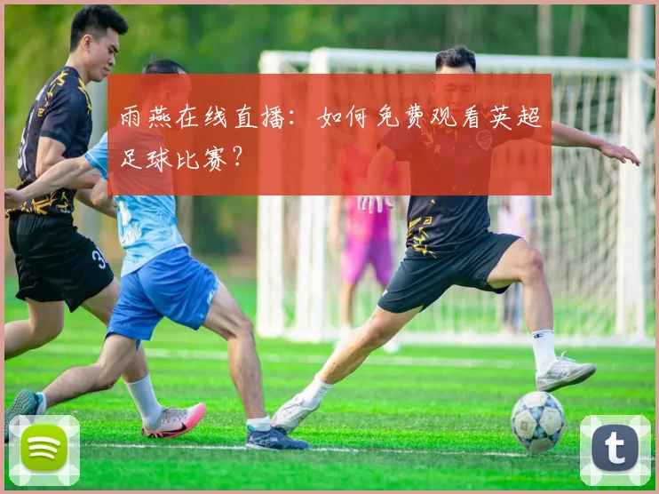 雨燕在线直播：如何免费观看英超足球比赛？