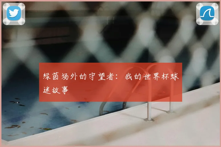 绿茵场外的守望者：我的世界杯球迷故事