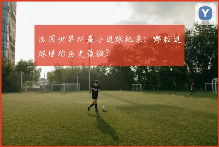 法国世界杯最小进球纪录：哪粒进球堪称历史最微？