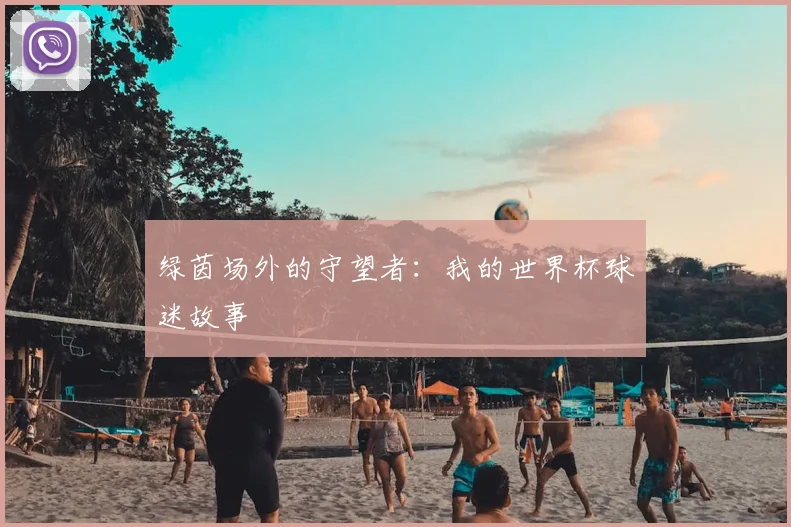 绿茵场外的守望者：我的世界杯球迷故事