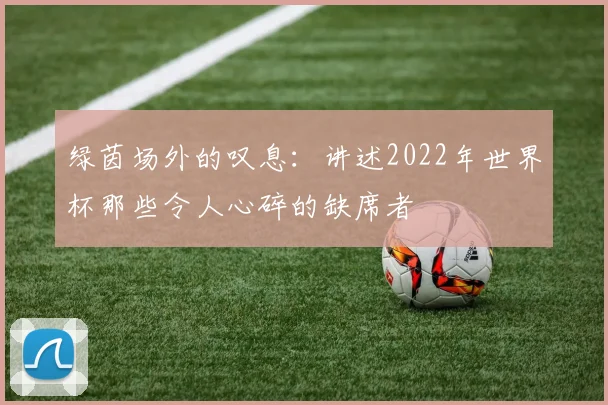 绿茵场外的叹息：讲述2022年世界杯那些令人心碎的缺席者