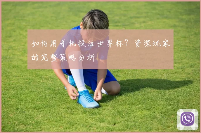 如何用手机投注世界杯？资深玩家的完整策略分析