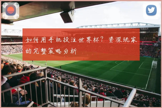 如何用手机投注世界杯？资深玩家的完整策略分析