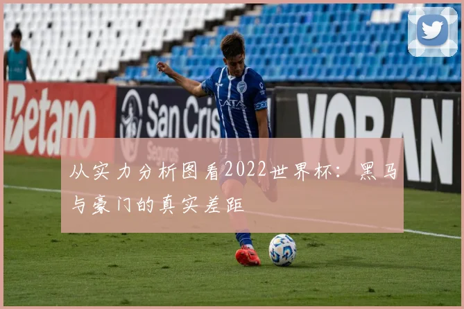从实力分析图看2022世界杯：黑马与豪门的真实差距